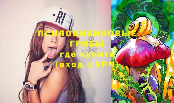PSILOCYBIN Зеленодольск