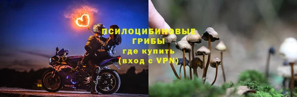 PSILOCYBIN Зеленодольск