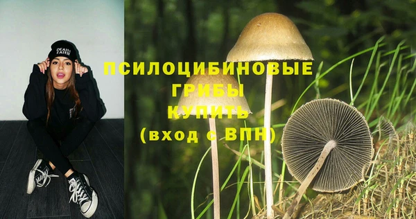 PSILOCYBIN Зеленодольск