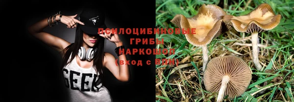 PSILOCYBIN Зеленодольск