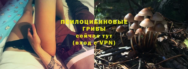 PSILOCYBIN Зеленодольск