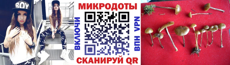 Псилоцибиновые грибы прущие грибы  купить  сайты  Каменск-Шахтинский 
