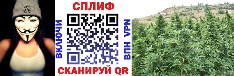 как найти закладки  Каменск-Шахтинский  Бошки Шишки планчик 